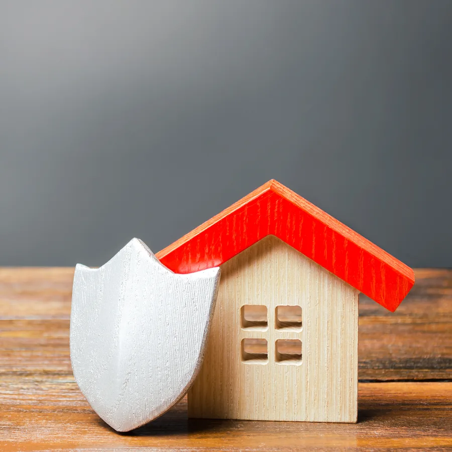 Homeowner reviewing mortgage statement showing PMI removal options
